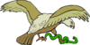 Eagle With Snake Clip Art